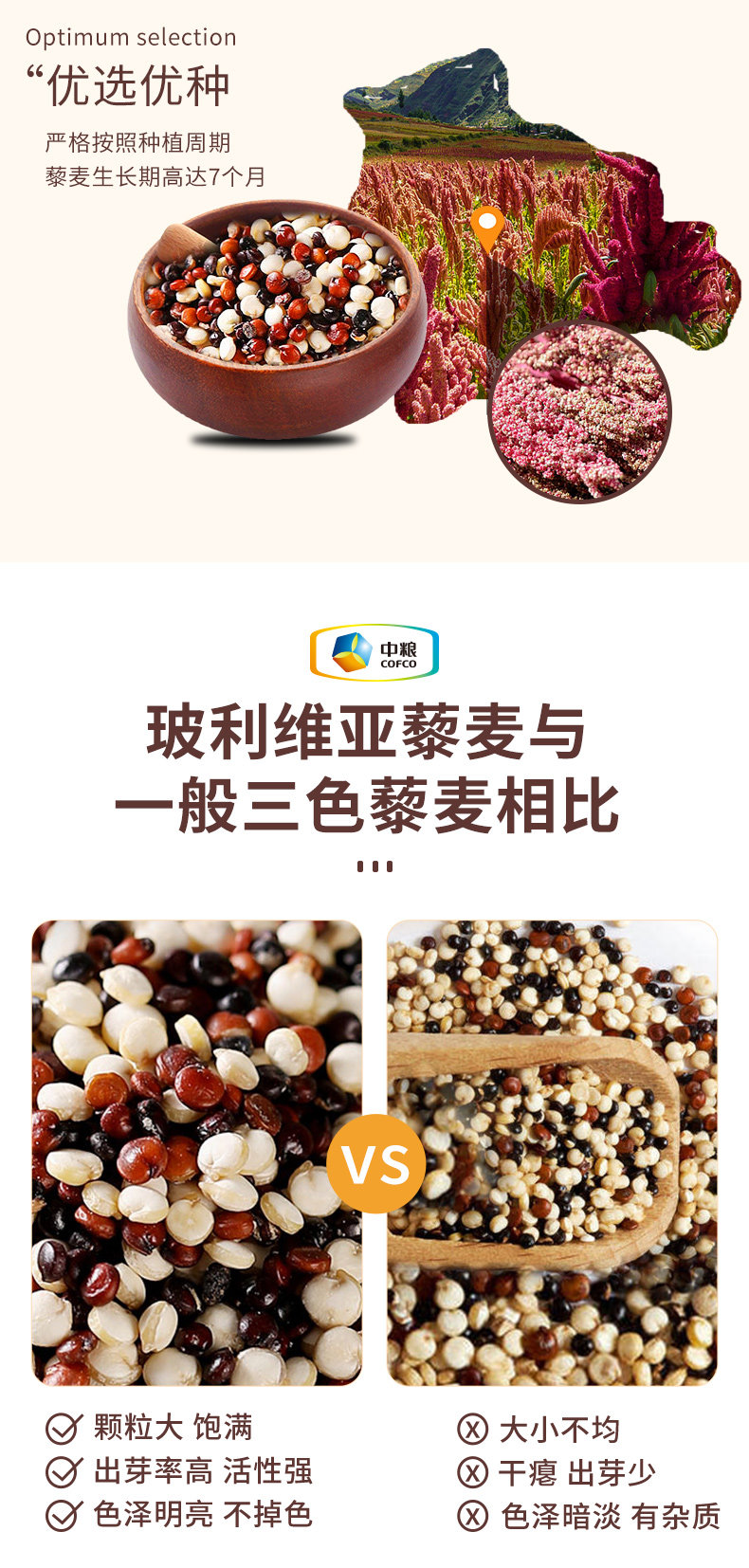 图片_3