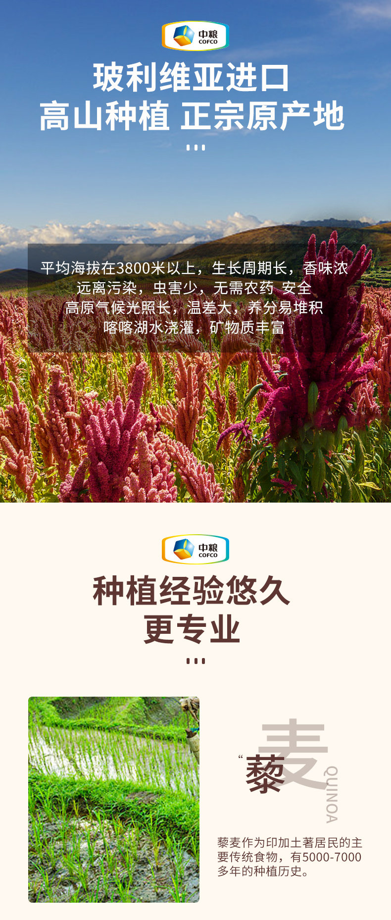 图片_2